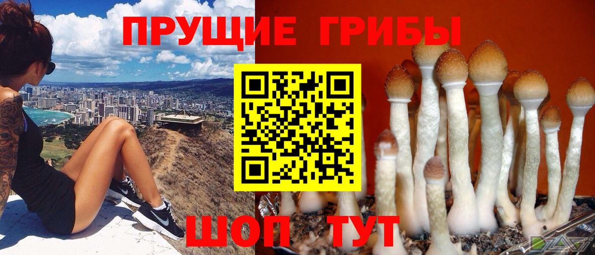 Галлюциногенные грибы ЛСД  Вход с VPN  Галлюциногенные грибы мухоморы  Воткинск 